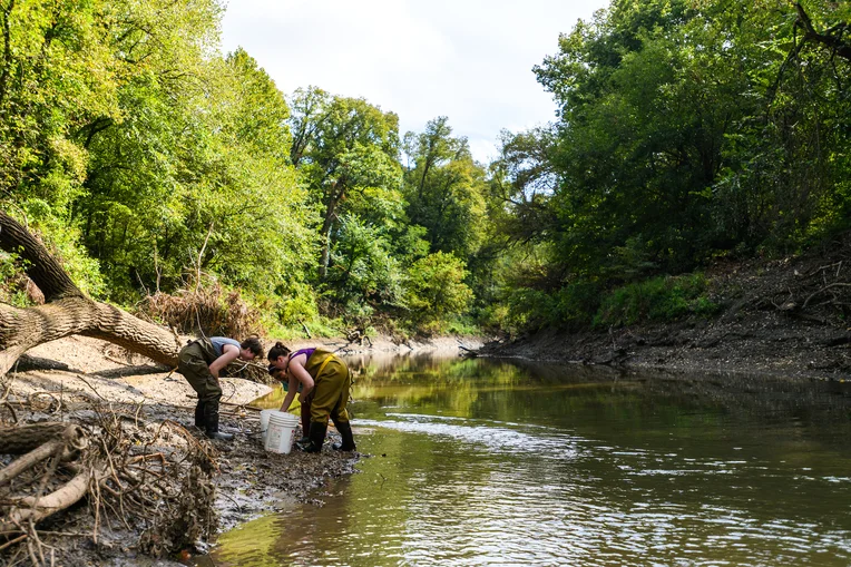Emporia State Biological Science students participating in research along the Neosho River