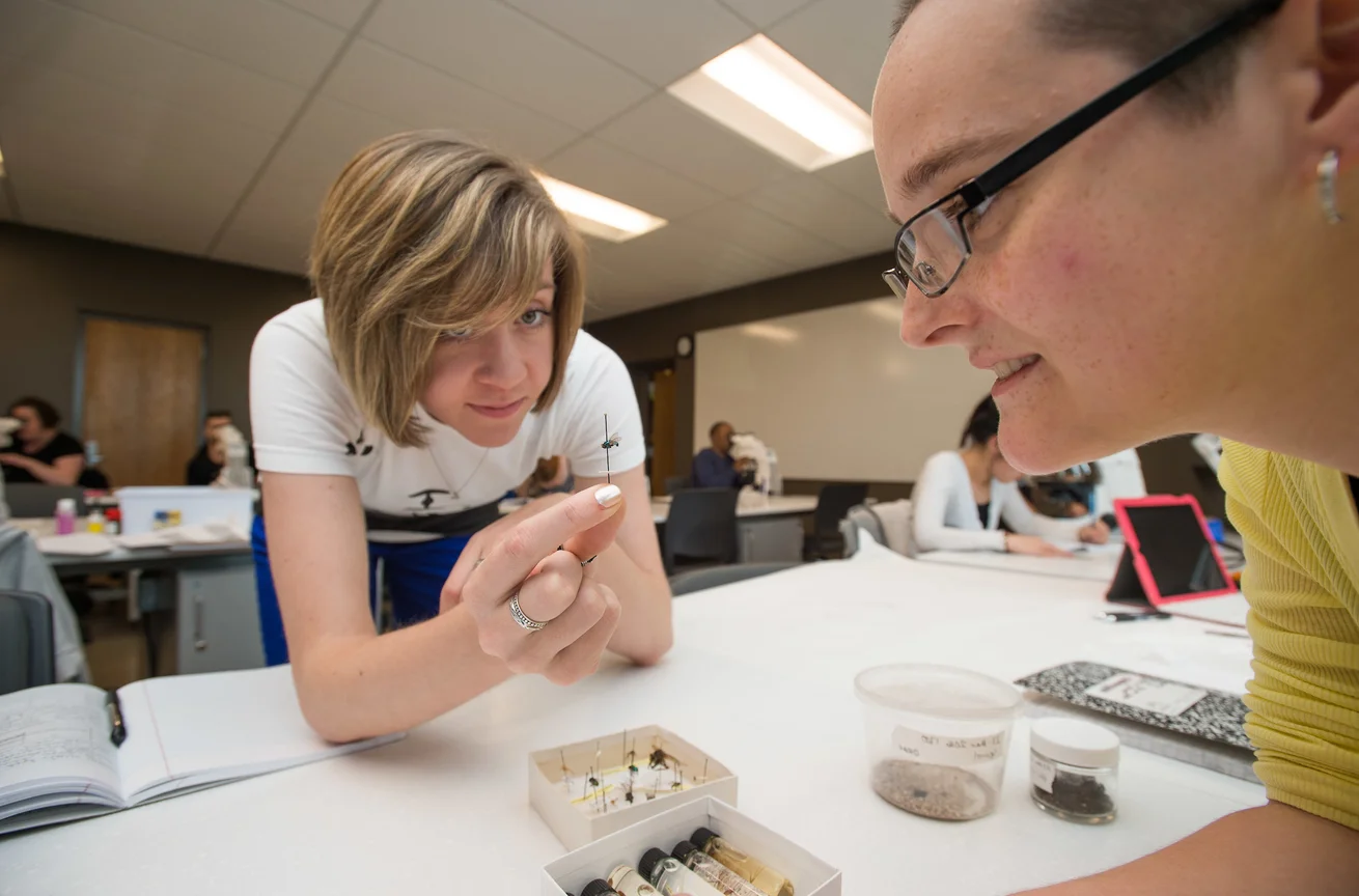 Students studying in Emporia State lab