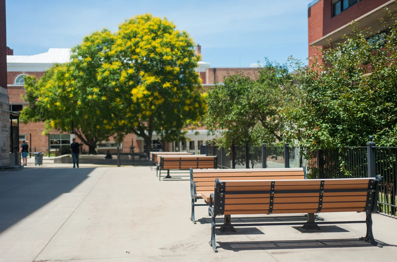 Photo of trees and benches on Emporia State's campus