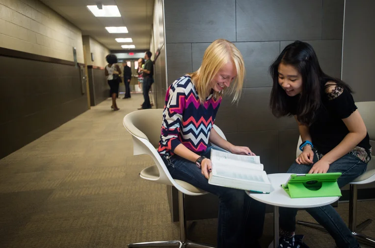 Students studying together