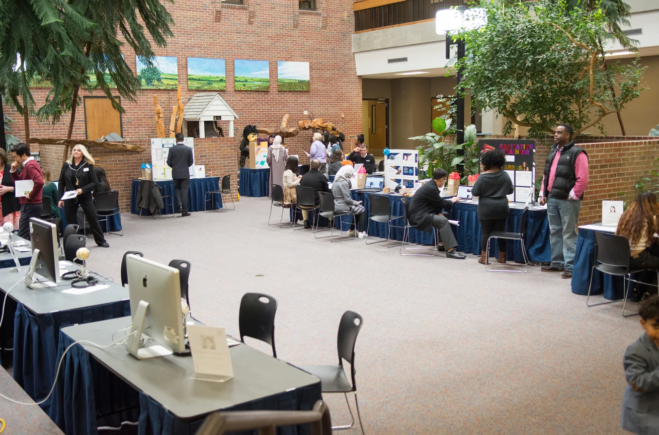IDT Masters presentations