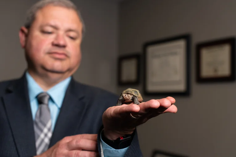 LAS Dean Brent Thomas holding turtle