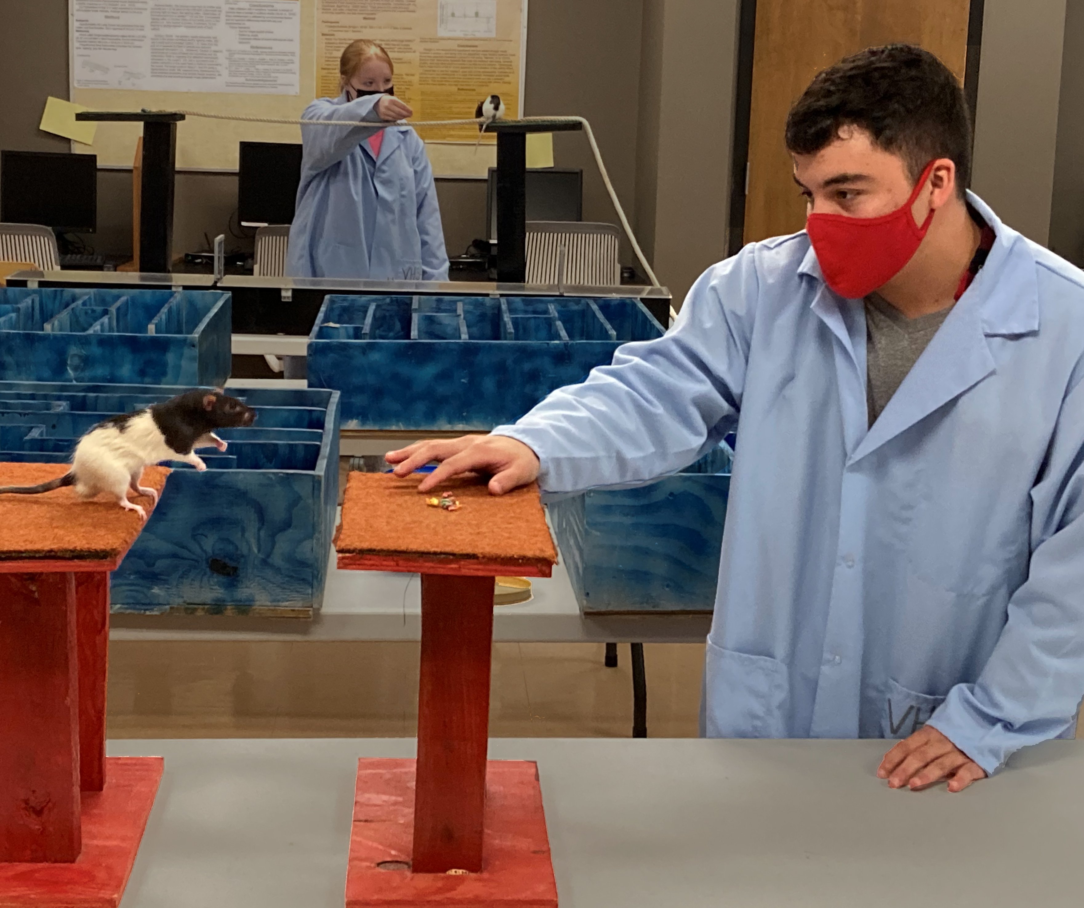 Emporia State Psychology rat rodeo 2021