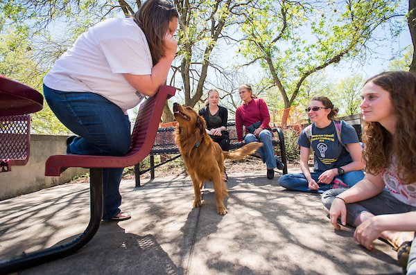 Dogs at library.jpg
