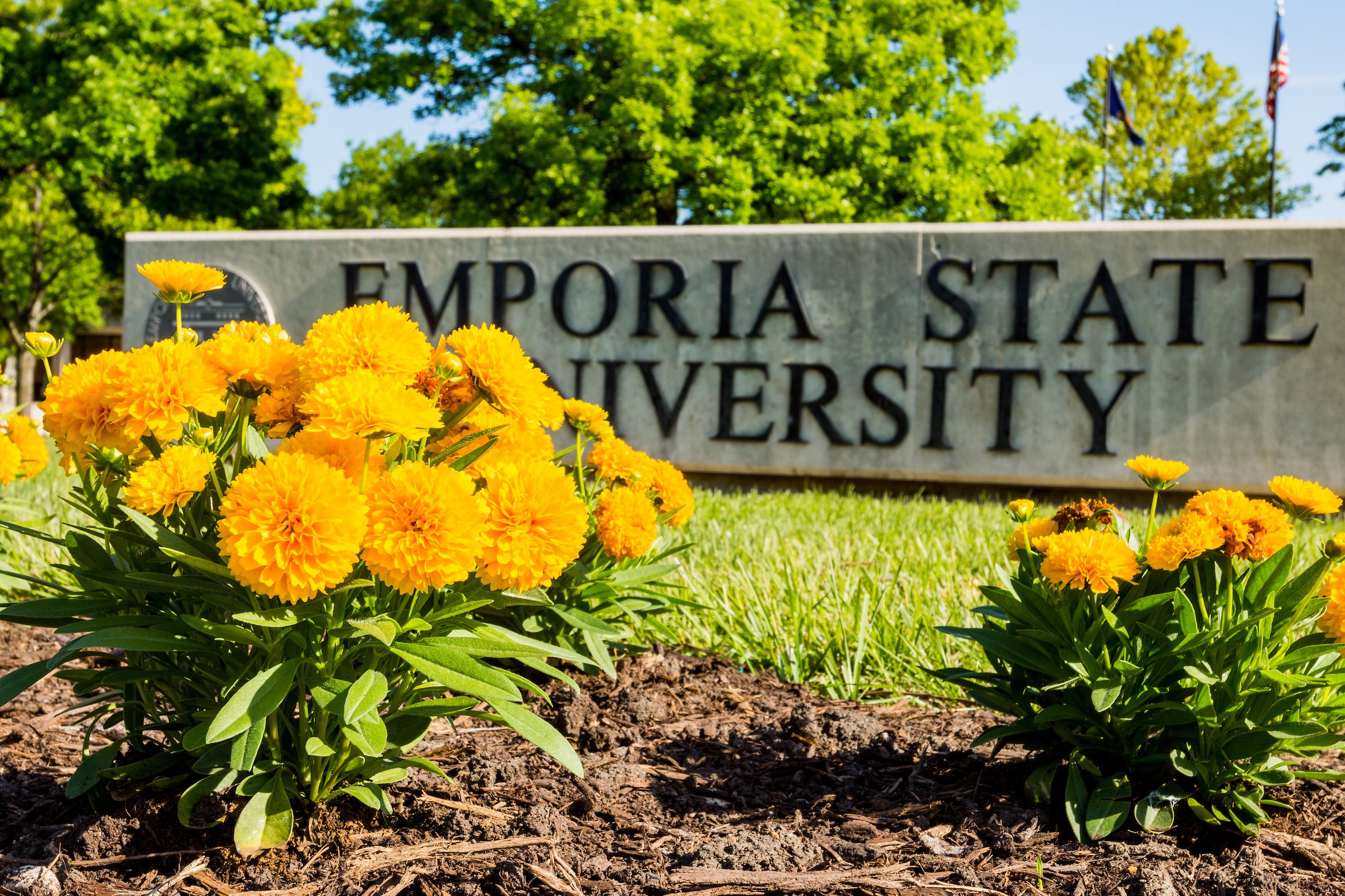 ESU Flower bed.jpg
