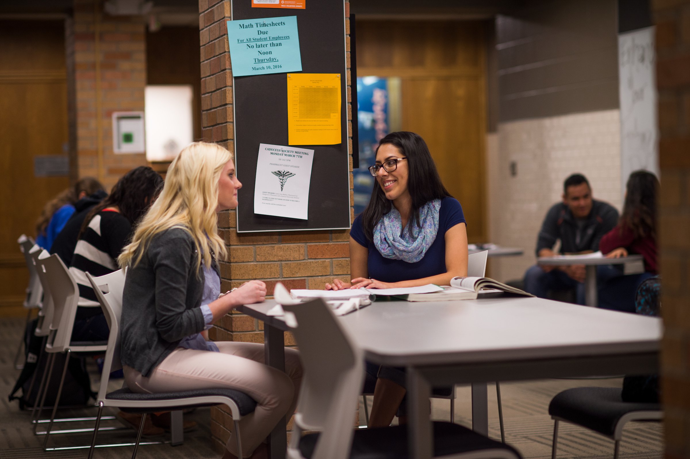 Students studying together