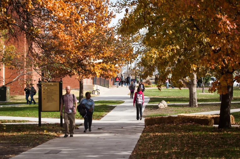 Campus in the fall