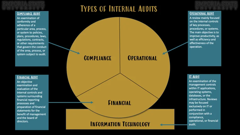 Different Types of Internal Audits