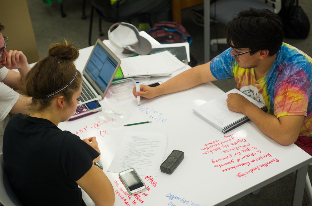 Students sitting and studying .jpg