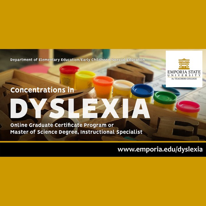 concentrations in dyslexia image