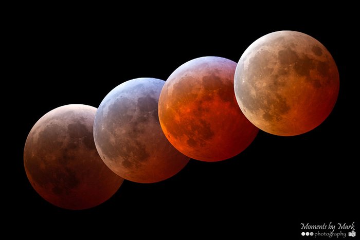 Four photos of a full, red moon in a single image show the progression of a total lunar eclipse.